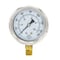 Pic Gauges 2 1/2 in Dial, 1/4 in NPT Male Lower Location, Stainless Steel Case Material 211D-254N - alternate 4