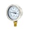 Pic Gauges 2 1/2 in Dial, 1/4 in NPT Male Lower Location, Stainless Steel Case Material 211D-254CD - alternate 1