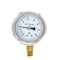 Pic Gauges 2 1/2 in Dial, 1/4 in NPT Male Lower Location, Stainless Steel Case Material 211D-254CD - alternate 4