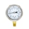 Pic Gauges 2 1/2 in Dial, 1/4 in NPT Male Lower Location, Stainless Steel Case Material 211D-254CE - alternate 3