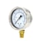 Pic Gauges 2 1/2 in Dial, 1/4 in NPT Male Lower Location, Stainless Steel Case Material 211D-254C - alternate 1