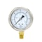 Pic Gauges 2 1/2 in Dial, 1/4 in NPT Male Lower Location, Stainless Steel Case Material 211D-254C - alternate 4
