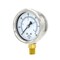 Pic Gauges 2 1/2 in Dial, 1/4 in NPT Male Lower Location, Stainless Steel Case Material 211D-254D - alternate 1