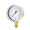 Pic Gauges 2 1/2 in Dial, 1/4 in NPT Male Lower Location, Stainless Steel Case Material 211D-254F - alternate 1