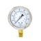 Pic Gauges 2 1/2 in Dial, 1/4 in NPT Male Lower Location, Stainless Steel Case Material 211D-254F - alternate 2