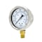 Pic Gauges 2 1/2 in Dial, 1/4 in NPT Male Lower Location, Stainless Steel Case Material 211D-254I - alternate 1