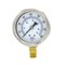 Pic Gauges 2 1/2 in Dial, 1/4 in NPT Male Lower Location, Stainless Steel Case Material 211D-254I - alternate 4