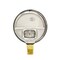 Pic Gauges 2 1/2 in Dial, 1/4 in NPT Male Lower Location, Stainless Steel Case Material 211D-254I - alternate 3