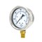 Pic Gauges 2 1/2 in Dial, 1/4 in NPT Male Lower Location, Stainless Steel Case Material 211D-254K - alternate 1