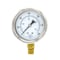 Pic Gauges 2 1/2 in Dial, 1/4 in NPT Male Lower Location, Stainless Steel Case Material 211D-254K - alternate 3