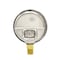 Pic Gauges Gauge, 2-1/2", 0/1000psi, 1/4"LM, Rem Bez, 2 1/2 in Dial, 1/4 in NPT Male Lower Location 211D-254M - alternate 3