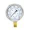 Pic Gauges 2 1/2 in Dial, 1/4 in NPT Male Lower Location, Stainless Steel Case Material 211D-254Q - alternate 4