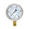 Pic Gauges Gauge, 2-1/2", 0/10,000psi, 1/4"LM, Rem Bez, 2 1/2 in Dial, 1/4 in NPT Male Lower Location 211D-254U - alternate 2