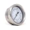 Pic Gauges 2 1/2 in Dial, 1/4 in NPT Male Center Back Location, Stainless Steel Case Material 212D-254E - alternate 4