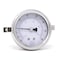 Pic Gauges 2 1/2 in Dial, 1/4 in NPT Male Center Back Location, Stainless Steel Case Material 213D-254CD - alternate 1