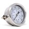Pic Gauges 2 1/2 in Dial, 1/4 in NPT Male Center Back Location, Stainless Steel Case Material 213D-254Q - alternate 4