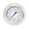 Pic Gauges 2 1/2 in Dial, 1/4 in NPT Male Center Back Location, Stainless Steel Case Material 214D-254I - alternate 2