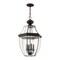 Livex Lighting Monterey 4 Light Black Outdoor Pendant Lantern 2357-04 - alternate 3