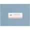 Avery Avery Easy Peel Address Labels, Permanent Adhesive, 1" x 2-5/8", 3,000 Labels (5160) 7278205160 - alternate 9