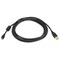 Monoprice USB 2.0 Cable, 10 ft.L, Black 5459 - alternate 4