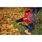 Craftsman V20 Cordless Axial Leaf Blower Kit (2.0A CMCBL700D1 - alternate 5