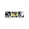 Craftsman V20 WEEDWACKER 13 in Cordless String Tri CMCST900D1 - alternate 9