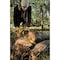 Dewalt FLEXVOLT(R) 60V MAX* Cordless Chainsaw (Tool Only) DCCS670B - alternate 5