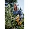 Dewalt 20 V Cordless Pruner, 1-1/2 in Bar L, 10 in Shaft L, 10 mm Max Cutting Dia DCPR320B - alternate 8