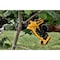 Dewalt 20 V Cordless Pruner, 1-1/2 in Bar L, 10 in Shaft L, 10 mm Max Cutting Dia DCPR320B - alternate 10