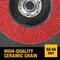 Dewalt XP(TM) Ceramic Ultra Performance Jumbo Flap Disc DWA8280HRT - alternate 4