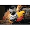 Dewalt 4-1/2 IN. - 5 IN. FLATHEAD PADDLE SWITCH SMALL ANGLE GRINDER WITH NO LOCK-ON DWE4120FN - alternate 5