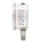 Pic Gauges 2 1/2 in Dial, 1/4 in NPT Male Lower Location, Stainless Steel Case Material PRO-301D-254CD-01 - alternate 3