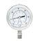 Pic Gauges 2 1/2 in Dial, 1/4 in NPT Male Lower Location, Stainless Steel Case Material PRO-301D-254CE-01 - alternate 2
