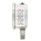 Pic Gauges 2 1/2 in Dial, 1/4 in NPT Male Lower Location, Stainless Steel Case Material PRO-301D-254H-01 - alternate 3