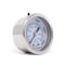 Pic Gauges 2 in Dial, 1/8 in NPT Male Center Back Location, Stainless Steel Case Material PRO-302D-208R-01 - alternate 2