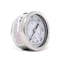 Pic Gauges 2 in Dial, 1/8 in NPT Male Center Back Location, Stainless Steel Case Material PRO-302D-208H-01 - alternate 2