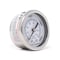 Pic Gauges 2 in Dial, 1/8 in NPT Male Center Back Location, Stainless Steel Case Material PRO-302D-208O-01 - alternate 2