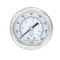 Pic Gauges 2 1/2 in Dial, 1/4 in NPT Male Center Back Location, Stainless Steel Case Material PRO-302D-254F-01 - alternate 3