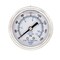 Pic Gauges 2 1/2 in Dial, 1/4 in NPT Male Center Back Location, Stainless Steel Case Material PRO-302L-254F-01 - alternate 4