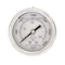 Pic Gauges Gauge, 2.5", 0/3000psi, 1/4"CBM, SS, 2 1/2 in Dial, 1/4 in NPT Male Center Back Location PRO-302L-254P-01 - alternate 3