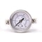 Pic Gauges 1 1/2 in Dial, 1/8 in NPT Male Back Location, Stainless Steel Case Material PRO-303D-158B-01 - alternate 1