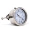 Pic Gauges 2 in Dial, 1/8 in NPT Male Back Location, Stainless Steel Case Material PRO-303D-208A-01 - alternate 2