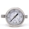 Pic Gauges 2 in Dial, 1/8 in NPT Male Back Location, Stainless Steel Case Material PRO-303D-208H-01 - alternate 1