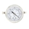 Pic Gauges 2 1/2 in Dial, 1/4 in NPT Male Back Location, Stainless Steel Case Material PRO-303D-254A-01 - alternate 2