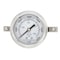 Pic Gauges 2 1/2 in Dial, 1/4 in NPT Male Back Location, Stainless Steel Case Material PRO-303L-254S-01 - alternate 3