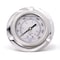 Pic Gauges 2 1/2 in Dial, 1/4 in NPT Male Back Location, Stainless Steel Case Material PRO-304L-254I-01 - alternate 1