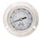 Pic Gauges 2 1/2 in Dial, 1/4 in NPT Male Back Location, Stainless Steel Case Material PRO-304L-254CF-01 - alternate 3