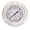 Pic Gauges 2 1/2 in Dial, 1/4 in NPT Male Back Location, Stainless Steel Case Material PRO-304L-254S-01 - alternate 4