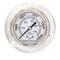 Pic Gauges 2 1/2 in Dial, 1/4 in NPT Male Back Location, Stainless Steel Case Material PRO-304L-254V-01 - alternate 4
