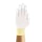 Ansell Disposable Gloves, Not Rated Abrasion Level, 6 144 PK 11-605 - alternate 2